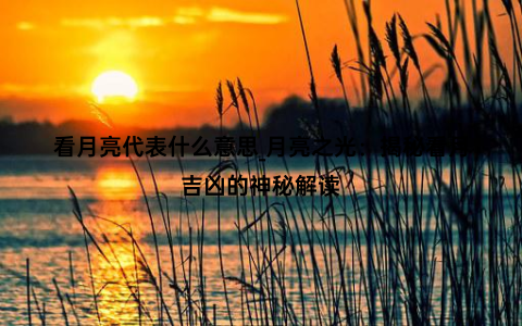 看月亮代表什么意思_月亮之光：揭秘看月吉凶的神秘解读