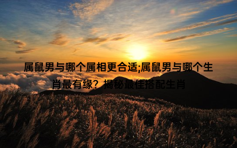 属鼠男与哪个属相更合适;属鼠男与哪个生肖最有缘？揭秘最佳搭配生肖