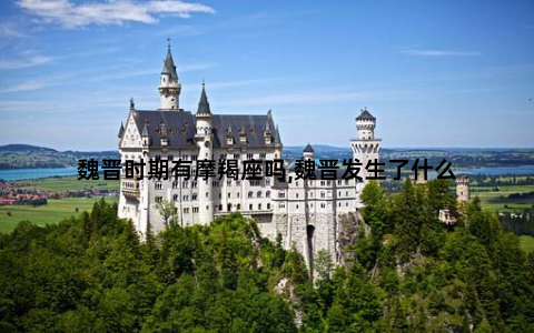魏晋时期有摩羯座吗,魏晋发生了什么