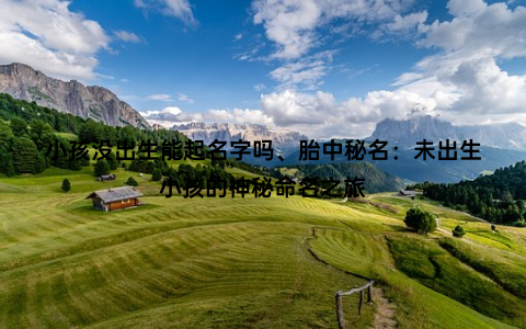 小孩没出生能起名字吗、胎中秘名：未出生小孩的神秘命名之旅