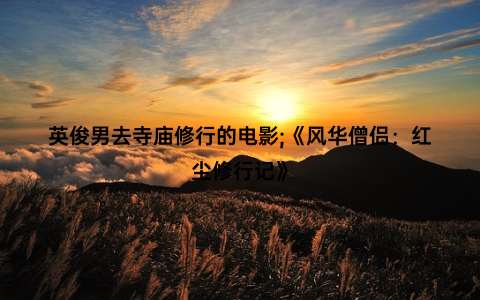 英俊男去寺庙修行的电影;《风华僧侣：红尘修行记》