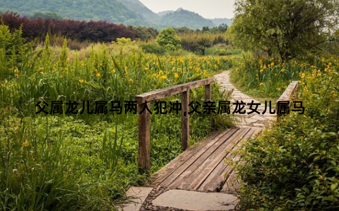 父属龙儿属马两人犯冲,父亲属龙女儿属马