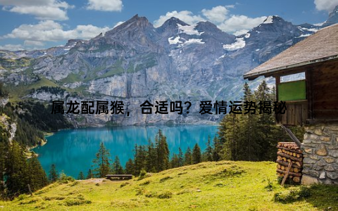 属龙配属猴，合适吗？爱情运势揭秘
