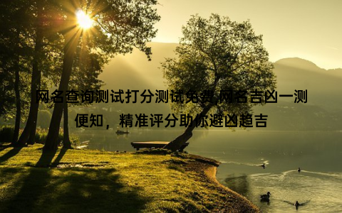 网名查询测试打分测试免费,网名吉凶一测便知，精准评分助你避凶趋吉