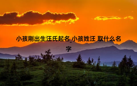 小孩刚出生汪氏起名_小孩姓汪 取什么名字
