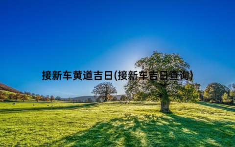 接新车黄道吉日(接新车吉日查询)