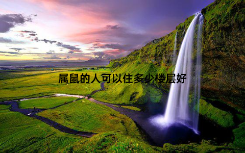 属鼠的人可以住多少楼层好