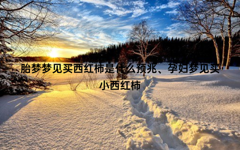 胎梦梦见买西红柿是什么预兆、孕妇梦见买小西红柿
