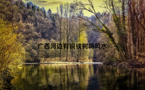 广西河边有铜钱树吗风水
