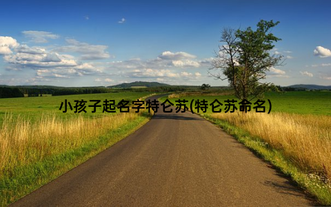 小孩子起名字特仑苏(特仑苏命名)