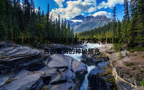 老鼠咬人的吉凶预兆图片大全;老鼠咬人：吉凶难测的神秘预兆