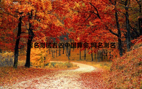 网名测试吉凶中国算命,网名测名