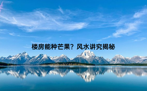 楼房能种芒果？风水讲究揭秘