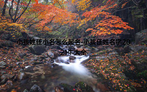 小孩姓任小名怎么起名-小孩任姓名字2021牛大全