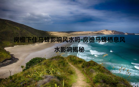 房檐下住马蜂影响风水吗-房檐马蜂栖息风水影响揭秘