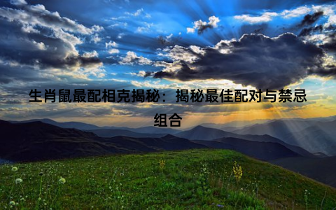 生肖鼠最配相克揭秘：揭秘最佳配对与禁忌组合