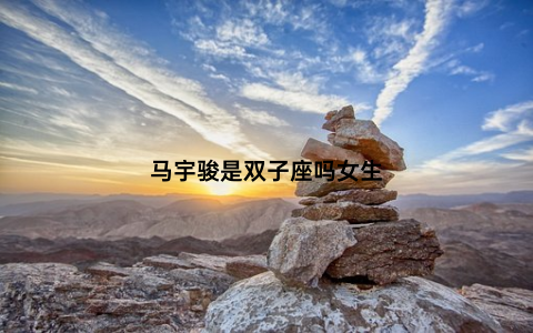 马宇骏是双子座吗女生
