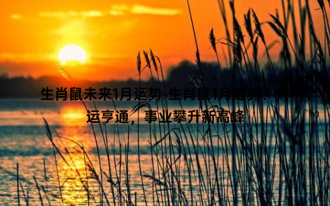 生肖鼠未来1月运势-生肖鼠1月运势：财运亨通，事业攀升新高峰