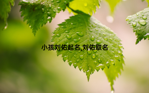 小孩刘佑起名,刘佑取名