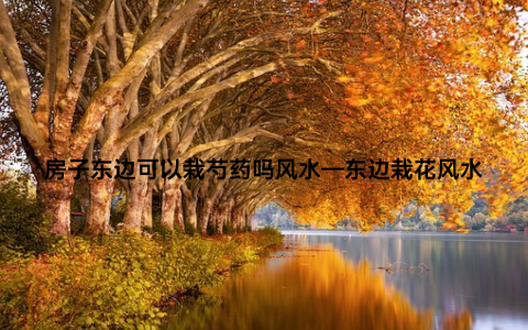 房子东边可以栽芍药吗风水—东边栽花风水