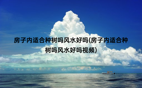 房子内适合种树吗风水好吗(房子内适合种树吗风水好吗视频)